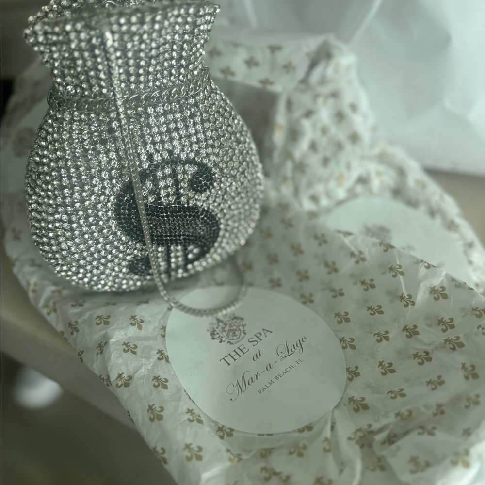 Crystal Rhinestone Dollar Sign Drawstring Clutch - Silver - Picture 3 of 5